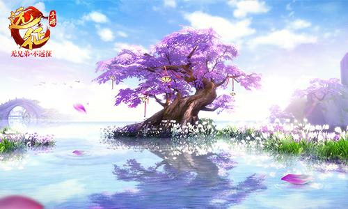 1533874308137066.jpg 02.jpg