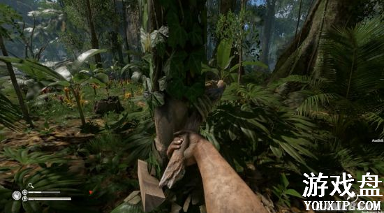 ��ɫ����ʳ����ô�ӳ�����ʱ�䣿��ɫ������ֹʳ�︯������