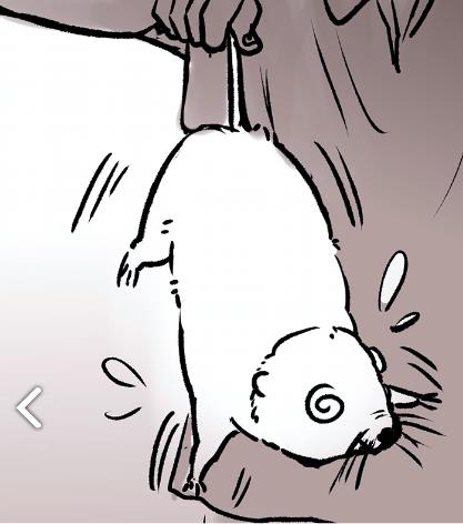 �������ȥ������ �������ȥ��ô����[��ͼ]