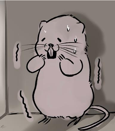 �������ȥ���� �������ȥ�淨���ɽ���[��ͼ]ͼƬ1