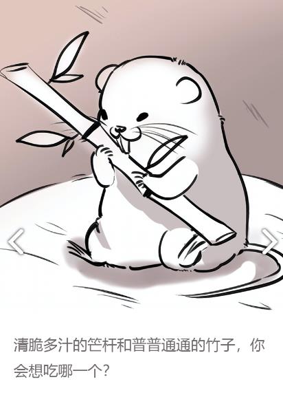 �������ȥ���� �������ȥ�淨���ɽ���[��ͼ]