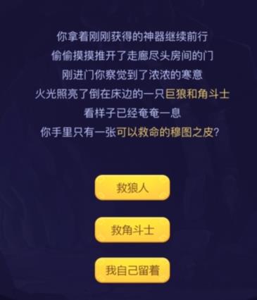 ��˼���Թ���ʥ������֮�ù��� �Ƕ�ʿ��ʥ��Ƥ����÷���[��ͼ]ͼƬ2