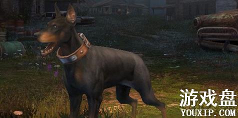 ����֮��ѡ���ĸ��ã���ѡ���Ƽ�����[��ͼ]ͼƬ1