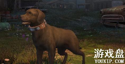 ����֮��ѡ���ĸ��ã���ѡ���Ƽ�����[��ͼ]ͼƬ2