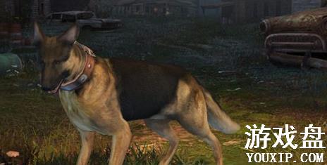 ����֮��ѡ���ĸ��ã���ѡ���Ƽ�����[��ͼ]