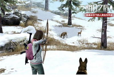 ����֮������ɭ�ֶ������� ����ɭ�����ﶯ���[��ͼ]