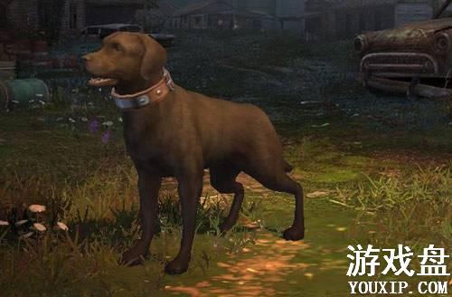 ����֮����Ը������� ����֮��ѡ���˹������Ը�����[��ͼ]ͼƬ1