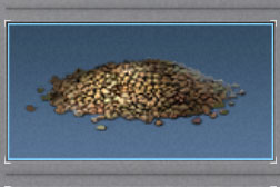 ����֮��������ô��� ����֮�����ѵĻ�ȡ��ʽ[��ͼ]