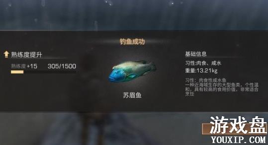 ����֮�����ھ����� ���㴹���ھ���ü���[��ͼ]ͼƬ2