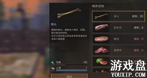 ����֮��ι����ʲô�� ���ﹷι����ʲôЧ����[ͼ]