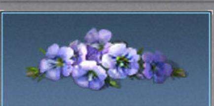 ����֮�����黨����ô��ã����黨���÷���[ͼ]